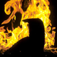 Illustration for article titled What Happens When You Burn a Magnesium NeXTCube Computer Case?